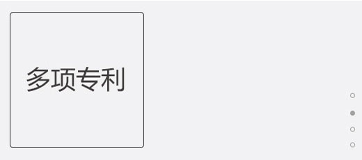 多項(xiàng)專(zhuān)利